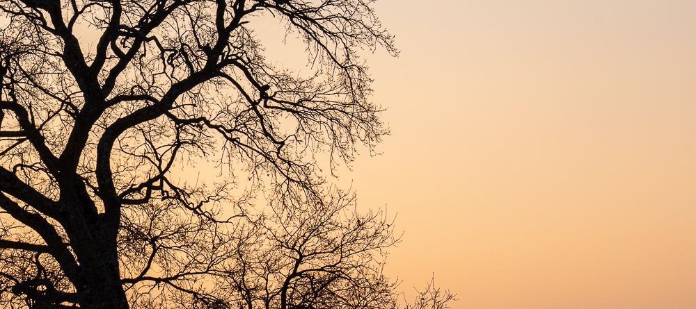 SLO Coaching - Mon offre - Ateliers collectifs